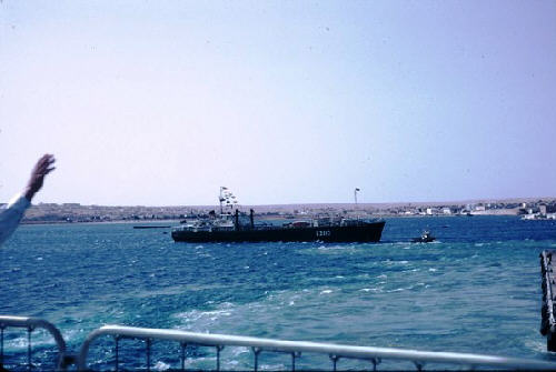 Last ship out switch off the light - Black Pig