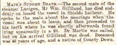 New Journal 24.4.16 Luicigen