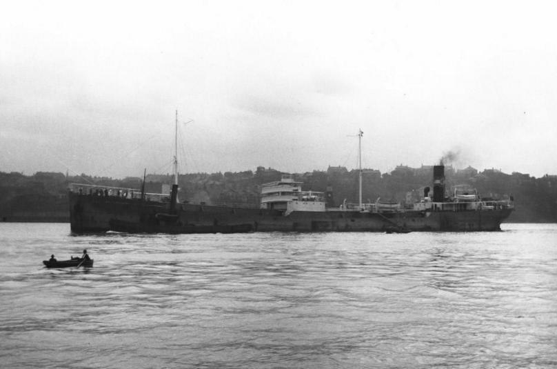 British Fern 19 11 1923