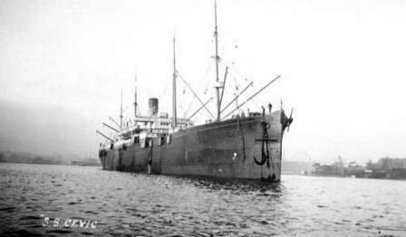 Cevic before Bayleaf 1