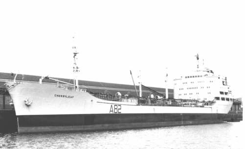 RFA Cherryleaf 3