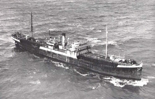 RFA War Brahmin