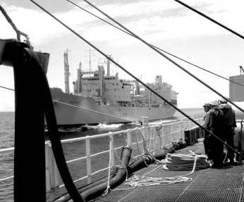 Regent RAS Plumleaf 1982