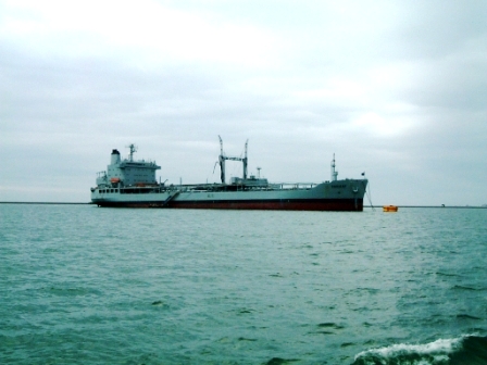 RFA Oakleaf2 3 2004 Owen Davidson