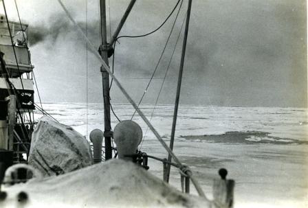 RRS Discovery 2 in the pack ice