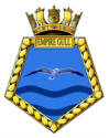Empire_Gull_-_Unofficial