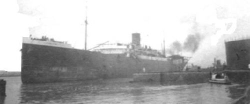 RFA Boxleaf