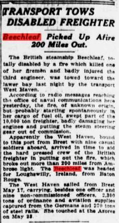 8 6 1919 New York Sun Beechleaf