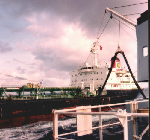 British_Tamar_from_Plum