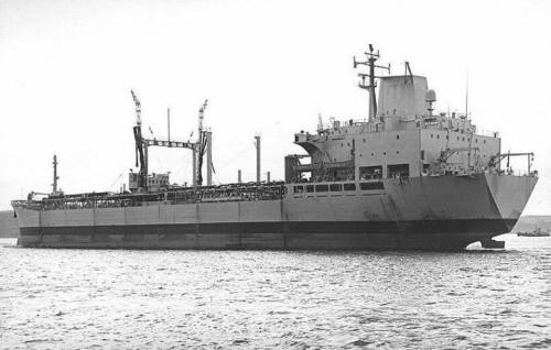 RFA_Bayleaf_xyz